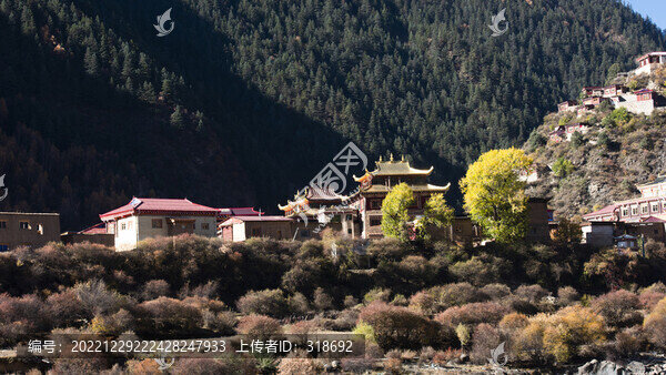 甘孜州藏寨村落彩林34