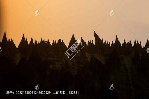 樹皮尖刺