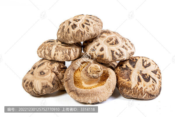 干花菇