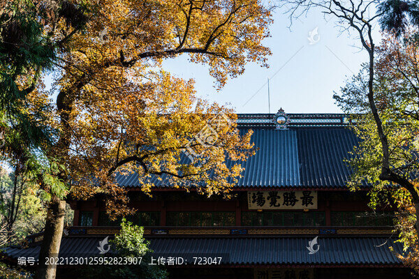 杭州靈隱寺秋色