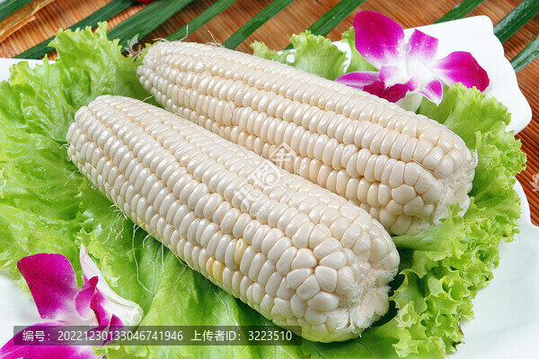 鮮玉米
