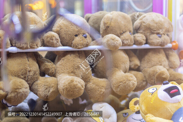 毛絨小熊