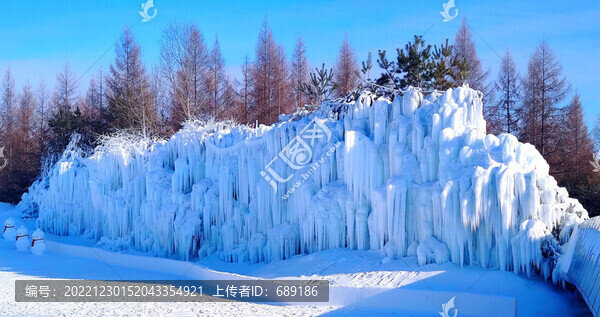 雪兔子