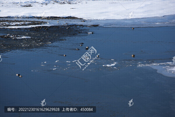 伊犁河