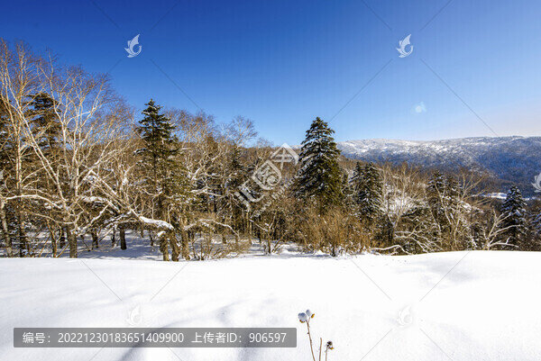 冬季遠(yuǎn)山森林雪景