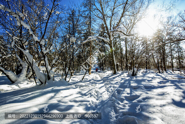 林海雪原
