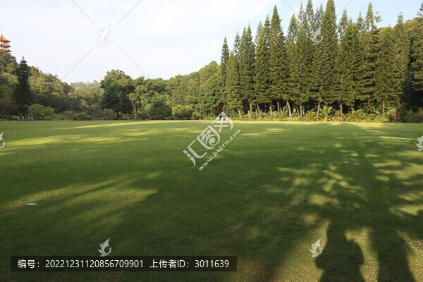 綠草地