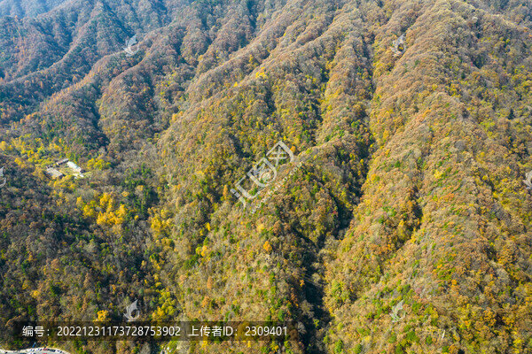 秦嶺秋色