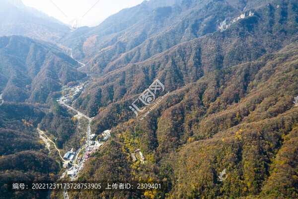 通山路