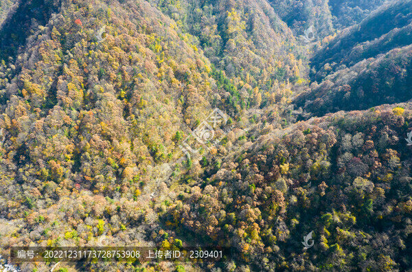 山溝