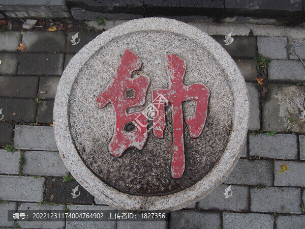 向棋帥字