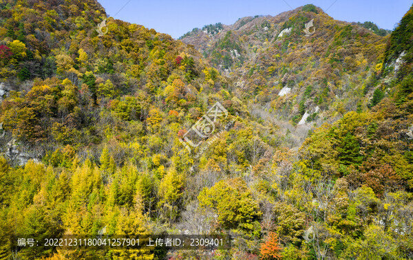 秋景