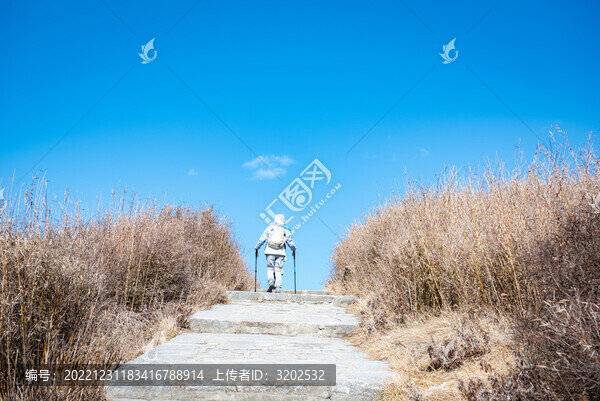 西安朱雀國家森林公園