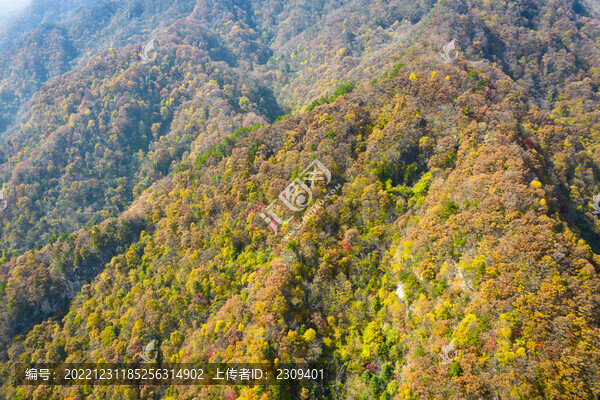 秦嶺山