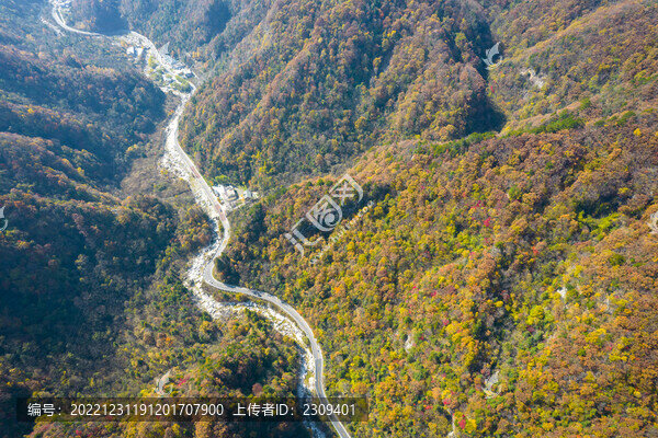 通山路