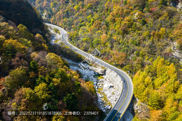 山路