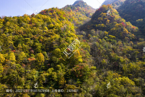 秋景