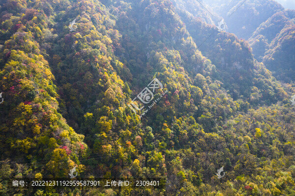秋景