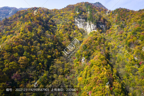 山梁
