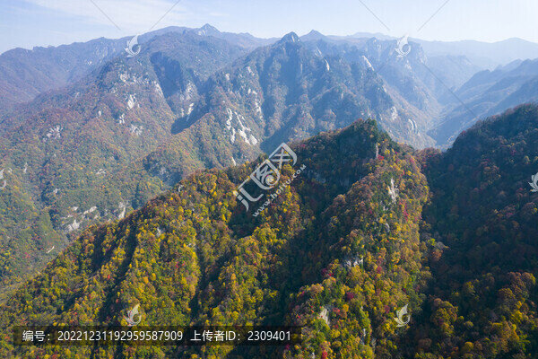 秦嶺山