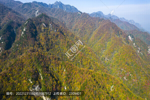 秦嶺山秋景