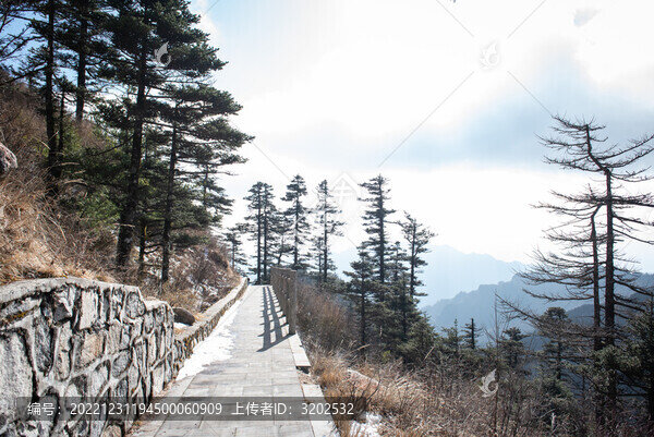 陜西朱雀國家森林公園