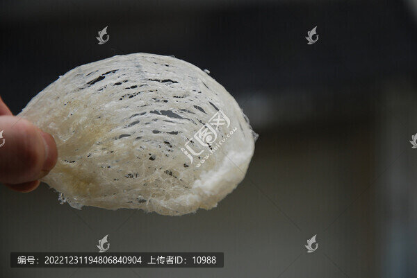 疏盞燕窩