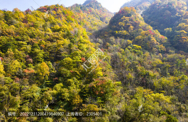 秋景