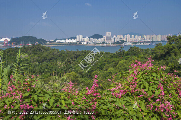 廈門華僑植物引種園風(fēng)景