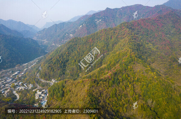秦嶺紅葉