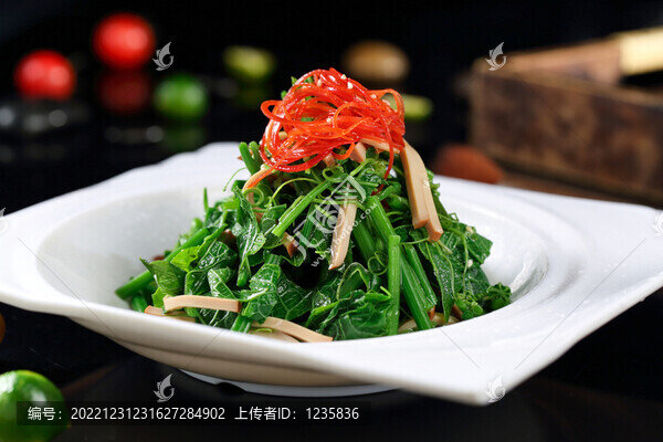 時(shí)令蔬菜