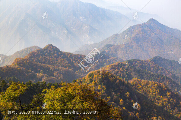 秦嶺山秋景
