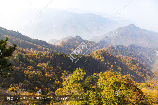 終南山
