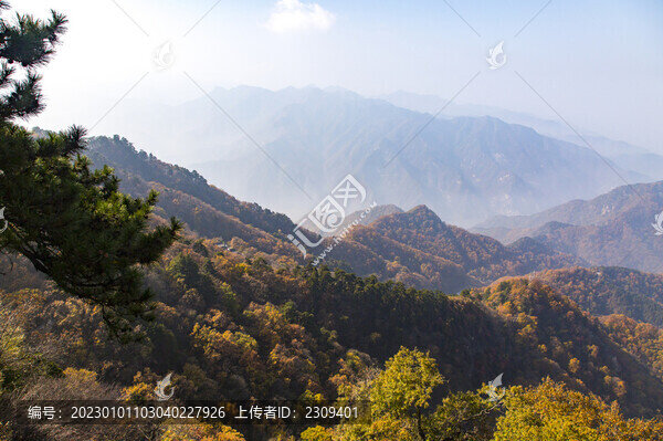 秦嶺風光