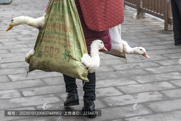 趕集