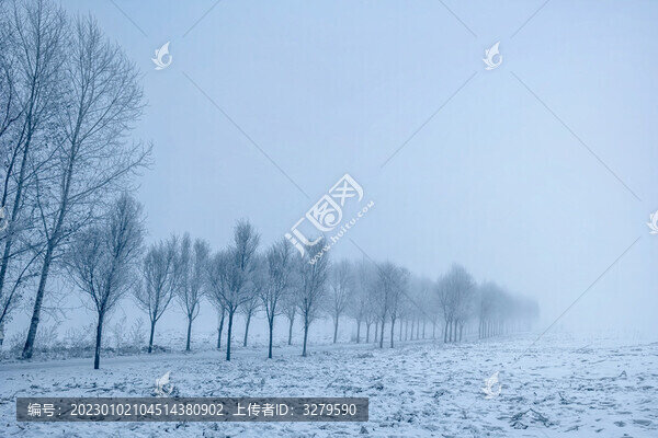 冬季寒冷霧凇天氣