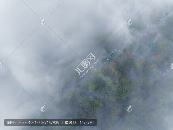 武漢東湖磨山風(fēng)景區(qū)初冬風(fēng)光