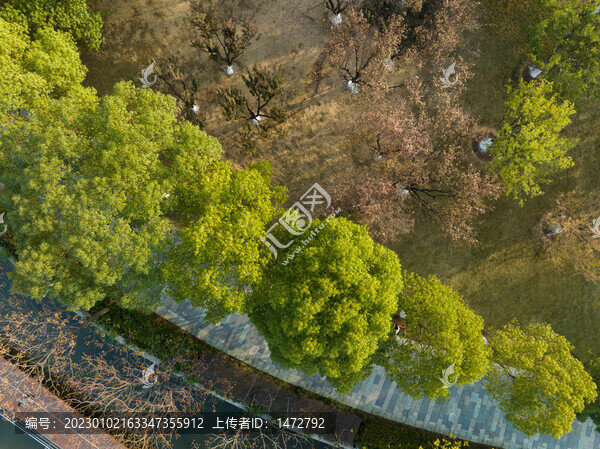 武漢漢陽(yáng)月湖公園深秋風(fēng)光
