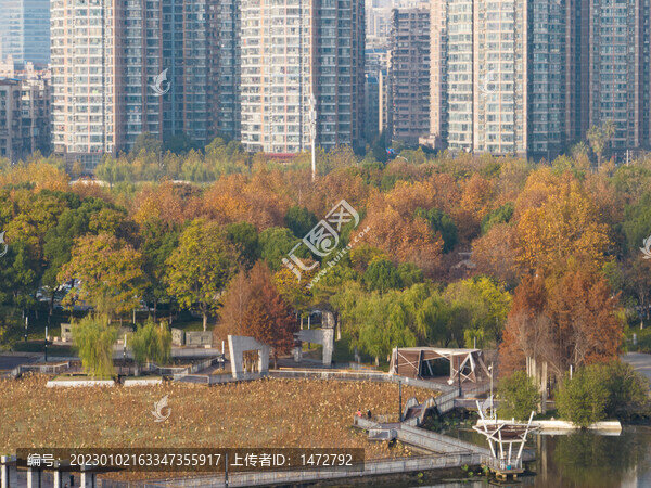 武漢漢陽月湖公園深秋風(fēng)光