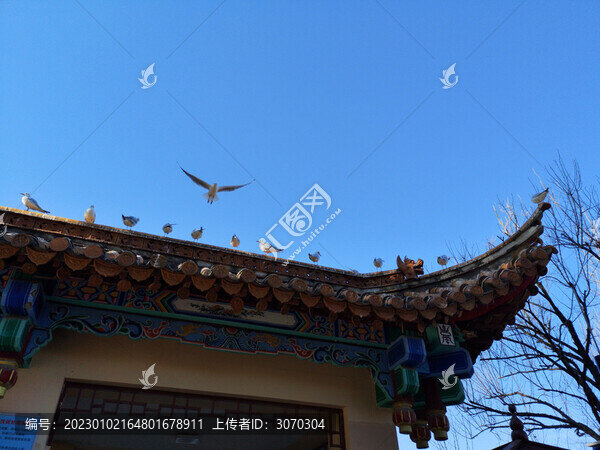 屋檐上鳥兒飛翔
