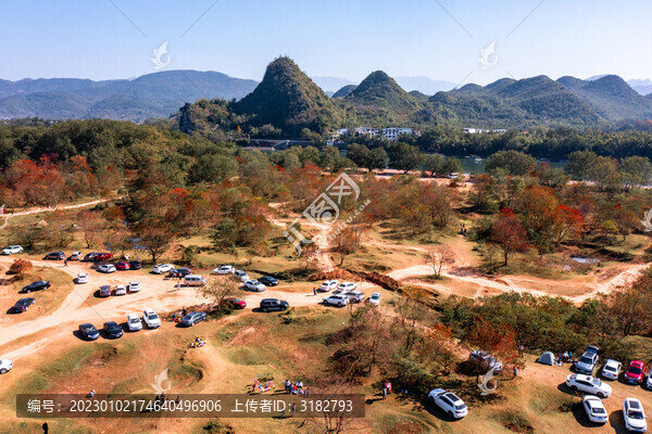 廣西桂林竹江烏桕灘景區(qū)紅葉