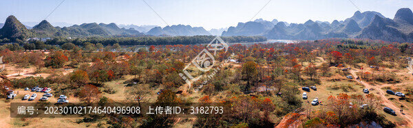 廣西桂林竹江烏桕灘景區(qū)紅葉