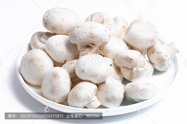 口菇