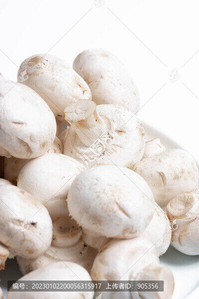 口菇