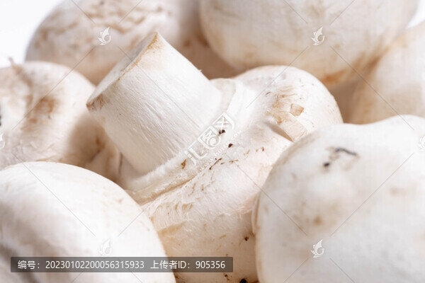 口菇