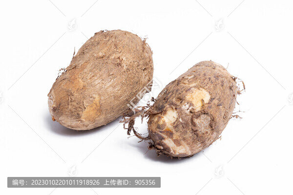 毛芋