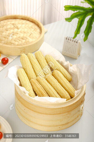 淺底上的小糯玉米