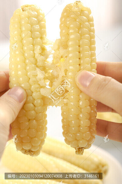 香糯拇指玉米特寫