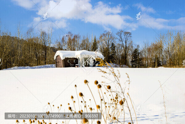 雪景風(fēng)光