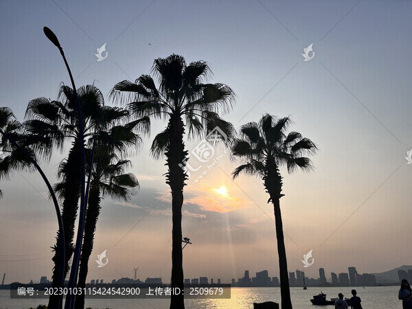 夏日海邊日落